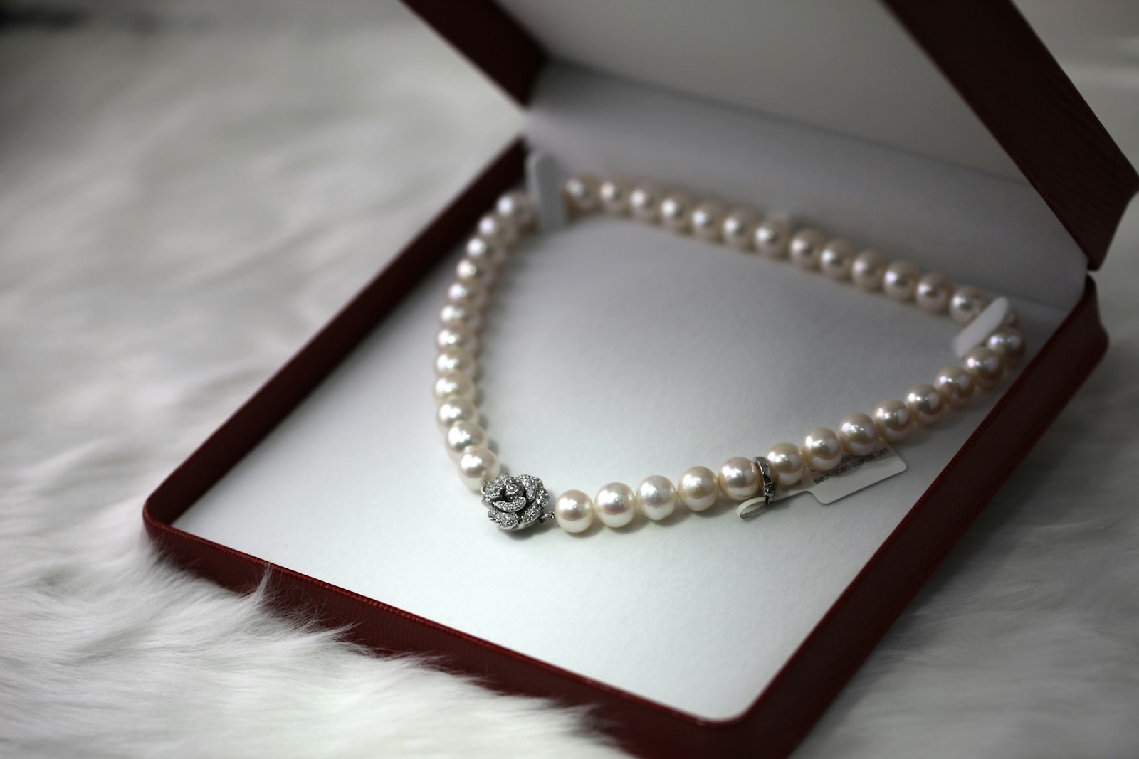 Elegance That Adorns Time